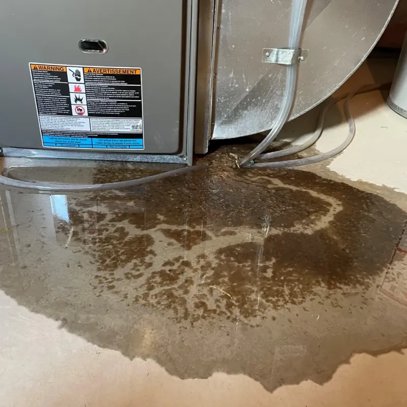 Appliance Leak Cleanup in Livonia, MI